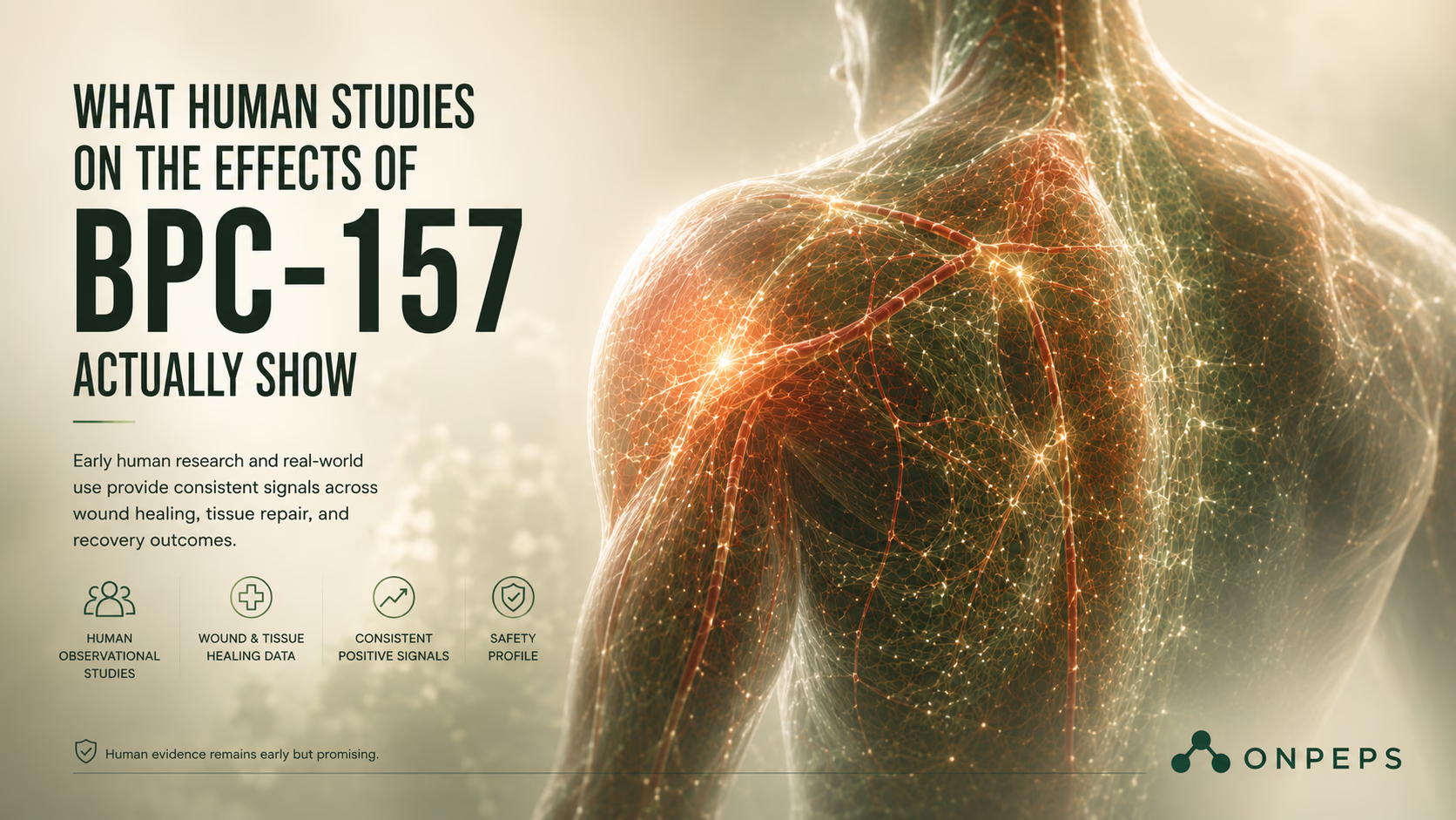 Oral vs. Injectable BPC-157: Bioavailability, Absorption, and Effectiveness